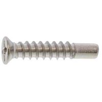 SUNCO GB ステン(+)BRPサラ( D=6 4X30(G=5 (60本入) 21-02-0506-0040-0300-07-60P（直送品）