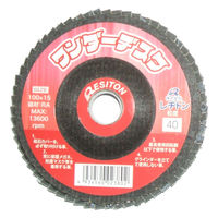 レヂトン ワンダーヂスク 100X15 RA320 1セット(1個×10)（直送品）