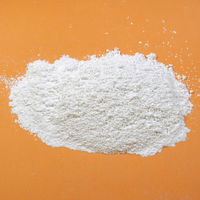 柳瀬 最終ふきとり粉 CACO-1 1kg 1個（直送品）