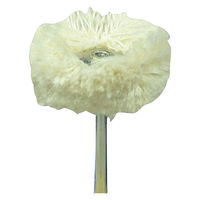 柳瀬 小径バフ コットンモップバフ CMB23 23X15 1セット(1個×5)（直送品）