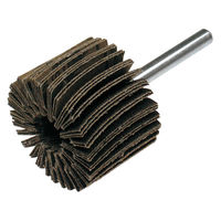 柳瀬 カップディスク CP2525A4 25X25X6 #60 1セット(1個×10)（直送品）