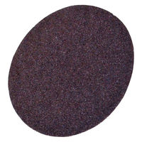 柳瀬 ペッタンペーパー アルミナ PET-25A10 ファイ25 #240 1セット(1個×20)（直送品）