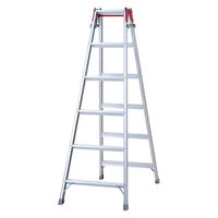 長谷川工業 はしご兼用脚立 RS-18c 1式（直送品）