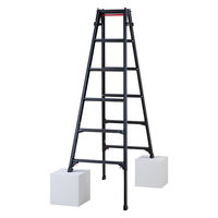 長谷川工業 はしご兼用伸縮脚立 RYZB-18a 1式（直送品）