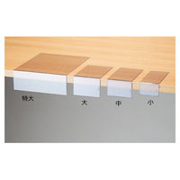 ストア・エキスプレス 【10個】カード差し L型 小 2581-50 1セット(10個) 61-205-4-1（直送品）