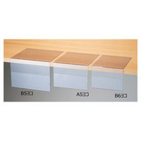 ストア・エキスプレス 【10個】カード差し L型 B5ヨコ 2581-58 1セット(10個) 61-205-4-7（直送品）