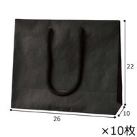 ストア・エキスプレス 【10枚】手提げ紙袋 無地ブラック 26×10×22cm 36005-1041 1セット(10枚)（直送品）