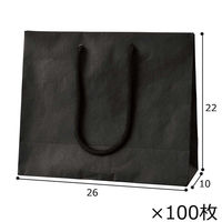 ストア・エキスプレス 【100枚】手提げ紙袋 無地ブラック 26×10×22cm 36005-1043 1セット(100枚)（直送品）