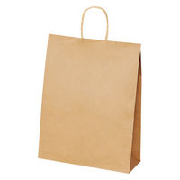 ストア・エキスプレス 【50枚】手提げ紙袋 丸ひも 再生紙タイプ 幅32×奥行11.5×高さ41cm 5610-502 1セット(50枚)（直送品）