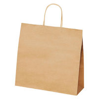 ストア・エキスプレス 【50枚】手提げ紙袋 丸ひも 再生紙タイプ 幅32×奥行11.5×高さ31cm 5610-500 1セット(50枚)（直送品）