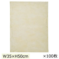 ストア・エキスプレス 【100枚】不織布インナーバッグ 薄タイプ ベージュ 幅30×高さ40cm 7406-303 1セット(100枚)（直送品）
