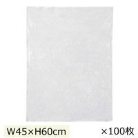 ストア・エキスプレス 【100枚】不織布インナーバッグ 薄タイプ ホワイト 幅45×高さ60cm 7406-308 1セット(100枚)（直送品）