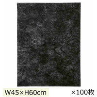 ストア・エキスプレス 【100枚】不織布インナーバッグ 薄タイプ ブラック 幅45×高さ60cm 7406-309 1セット(100枚)（直送品）