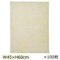 ストア・エキスプレス 【100枚】不織布インナーバッグ 薄タイプ ベージュ 幅45×高さ60cm 7406-311 1セット(100枚)（直送品）
