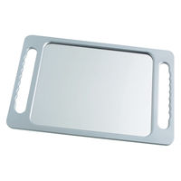 イーグル フォートレス TBGハンドミラー 1面 NB-0001 シルバー 1個（直送品）