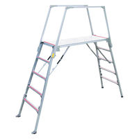 (株)ナカオ セフティガード SGS-810 1個（直送品）