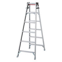 長谷川工業 兼用脚立 RAX-12C 1個（直送品）