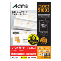 エーワン マルチカード名刺51003Aプラス51861 プロモーションパック 51003A 1冊