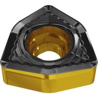 TAEGUTEC 旋削加工用チップ ターンスフィード CVD FCMX 100616-HFG TT8125B 1セット(10個)（直送品）