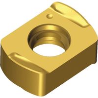 TAEGUTEC ミーリング加工用チップ チェイス4フィード BLMP 1105R-M TT2510 1セット(10個)（直送品）