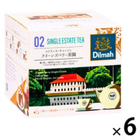 ディルマ CTJ クイーンズベリー茶園（スリランカ・キャンディ） 1セット(20バッグ入×6) 業務用