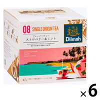 ディルマ CTJ ストロベリー＆ミント 1セット(20バッグ入×6) 業務用