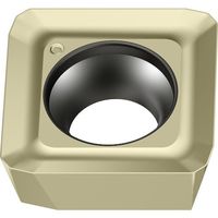 ワルタージャパン Walter ミーリング加工用 正方形ポジチップ WAK15 SPGT1204EDR-F55 1セット(10個)（直送品）