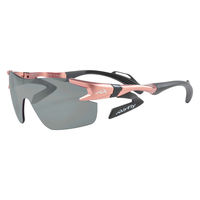 Airfly(エアフライ) サングラス AF302SP 偏光レンズ 組込みセット ピンク／偏光グレーＳＰ AF302C4SPG 1本（直送品）