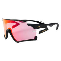 Airfly(エアフライ) スポーツサングラスAF306_C2 AF306C2 1本（直送品）