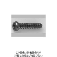 ファスニング J クローム 鉄（+）0番ー1種 Bタイプ ナベ 2.0 X 6.0 4000B1000020006006（直送品）