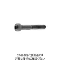 サンコーインダストリー CAP ウィット 3/8 X 65 A00000028030065000 1箱（10個）（直送品）