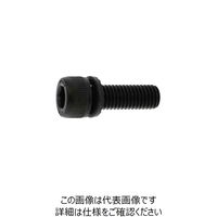サンコーインダストリー 鋼 強度区分10.9 GT-S CAP（SAタイプ） 8 X 25 A0009S000080025000（直送品）