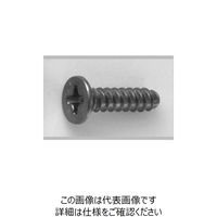 ファスニング J 3カーB 鉄（+）0番ー3種 Bタイプ 皿 1.7 X 3.5 4000B3010017003504（直送品）