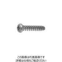 ファスニング J クローム 鉄(+)0番-2種 Pタイプ ナベ 2.0 X10.0 4000P2000020010006 1箱(5000個)（直送品）