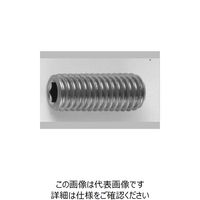 ファスニング J 鋼 六角穴付き止めねじ（ホーローセット）（くぼみ先） 2.6 X 5 A000500M0026005000（直送品）