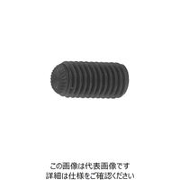 ファスニング J 鋼 六角穴付き止めねじ（ホーローセット）（ギザ歯） 4 X 20 A000505P0040020000 1箱（200個）（直送品）