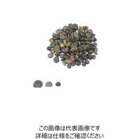 ナリカ 実習用化石標本 アンモナイト L55-3626 1セット(4セット)（直送品）