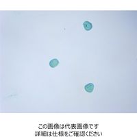 ナリカ トウモロコシ花粉プレパラート（10枚組） L55-8180 1セット（20枚：10枚×2セット）（直送品）