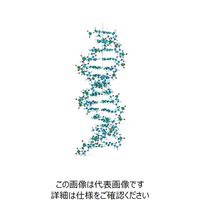 ナリカ モルタロウ分子模型「DNAセット」 M60-1020-02 1セット(2セット)（直送品）