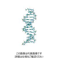 分子構造模型(モルタロウ) ジュニアAセット