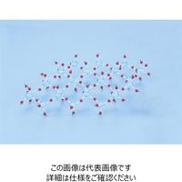 iJ ^Eq͌^uEVRZbgv M60-1020-05 1Zbg(8Zbg)iij