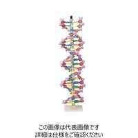 ナリカ ミニDNA分子模型キット（22層） M60-1192 1セット（直送品）