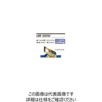 オーエッチ工業（OH工業） ラッシングベルト LBR300W ZF10-40ZF 1個（直送品）