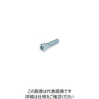 TMEHジャパン 六角穴付ボルト ロッカクアナツキ M4X8 BK 1セット(20本)（直送品）