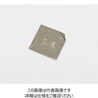 ナリカ 板分銅（洋白製）100mg 1個 A05-3022-02 1セット（14個）（直送品）