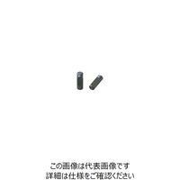 イマオコーポレーション（IMAO） kipp サイドプランジャー WP1N