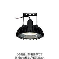 日立 高天井用LEDランプ アームタイプ 特殊環境対応 防湿・防雨形(オイルミスト・粉じん対応) WGBME16CMNC1 1台（直送品）