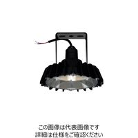 日立 高天井用LEDランプ アームタイプ 特殊環境対応 防湿・防雨形（対衝撃形）