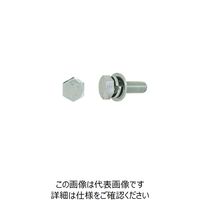 ファスニング J 3カーW 鉄 六角トリーマ P＝3（SW+JIS W組込） 6 X 40 1100E0030060040003（直送品）