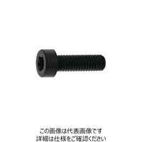 レニー黒(高強度ナイロン) ヘクサロビュラ穴付き低頭ボルト 5 X 25 K000A1T00050025000 1箱(250個)（直送品）